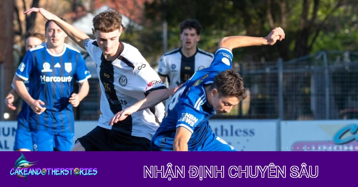 Nhận định chiến thuật Belmont Swansea Utd vs New Lambton: Lợi thế sân nhà cho Belmont